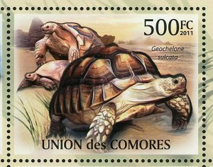 Turtles Stamp Pelochelys Cantorii Geochelone Sulcata S/S MNH #3007-3011 