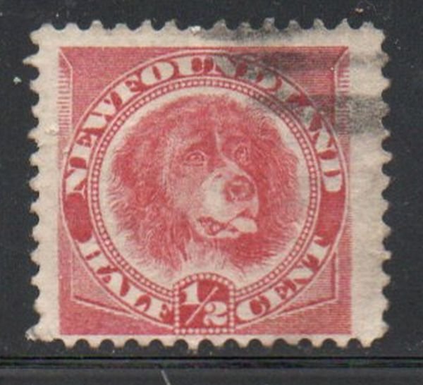 Newfoundland Sc 56 1897 1/2c rose red dog stamp used