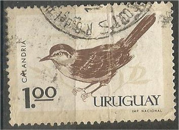 URUGUAY, 1963, used 1p , Birds. Scott 697