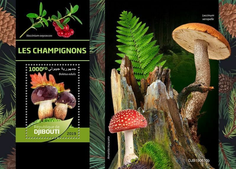 Z08 IMPERF DJB190610b Djibouti 2019 Mushrooms MNH ** Postfrisch