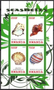 Rwanda 2010 Marine Life Shells MNH** Cinderella !