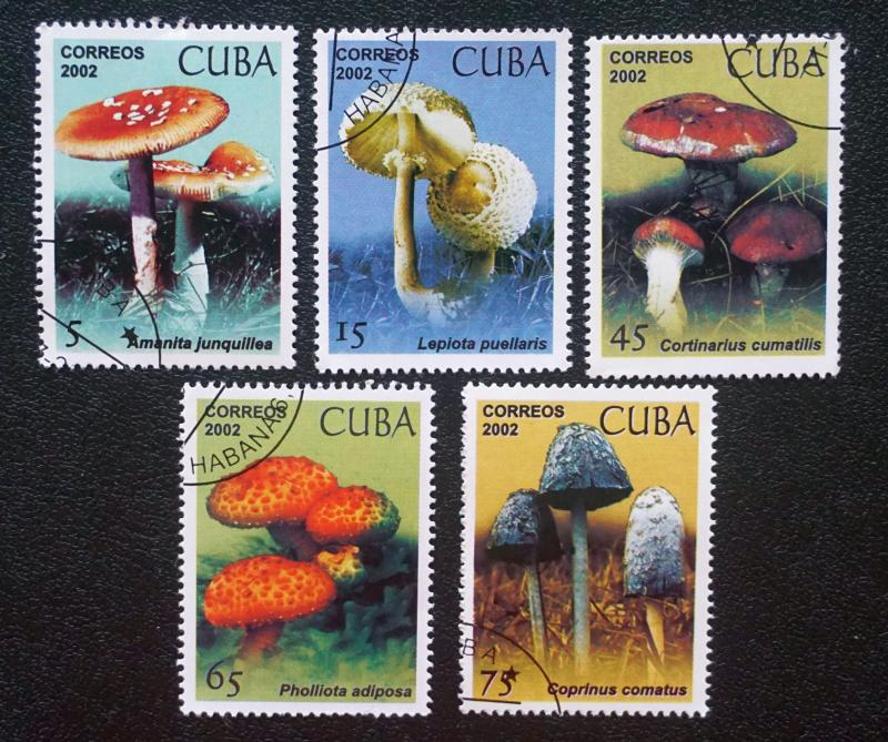 CUBA Sc# 4227-4231  MUSHROOMS Complete set of 5 stamps  2002 used / cancelled