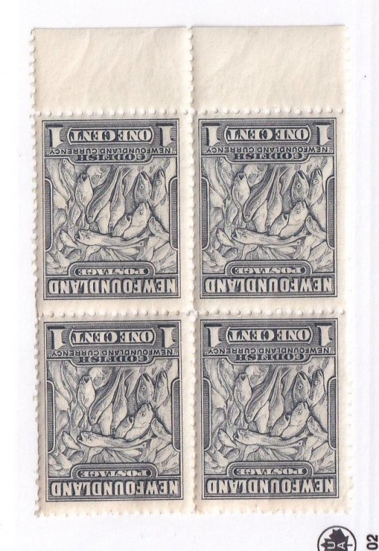 NEWFOUNDLAND PLATE BLOCKS OF 4 PLUS BLOCKS OF 4 CAT VALUE ????? 