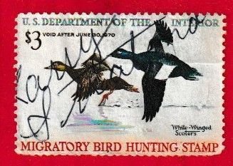 US SCOTT#RW36 1969 $3 WHITE-WINGED SCOTER - USED