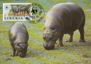 Liberia 1984 Maxicard Sc #1010 10c Pygmy hippopotamus WWF