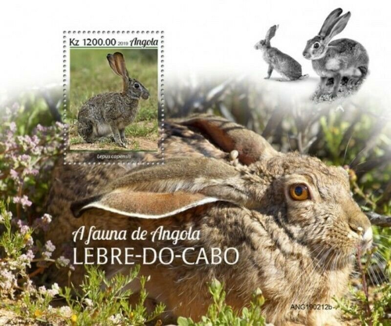 Angola - 2019 Cape Hare on Stamps - Stamp Souvenir Sheet - ANG190212b