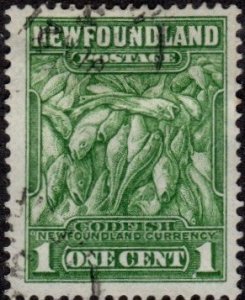 Newfoundland 183 - Used - 1c Codfish (1932) (cv $0.50)