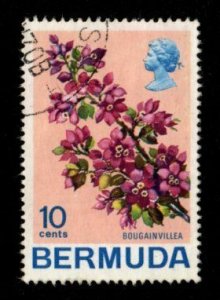 Bermuda #262 used