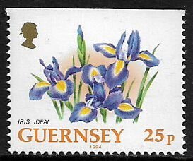 Guernsey #490a MNH Stamp - Flowers - Iris Ideal