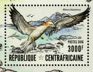 Water Birds Stamp Threskiornis Aethiopicus S/S MNH #6309 / Bl.1483