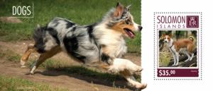 SOLOMON ISLANDS 2014 SHEET DOGS slm14614b
