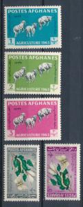 Afghanistan 1963 - Scott 637 .. 641 MNH - Agriculture day