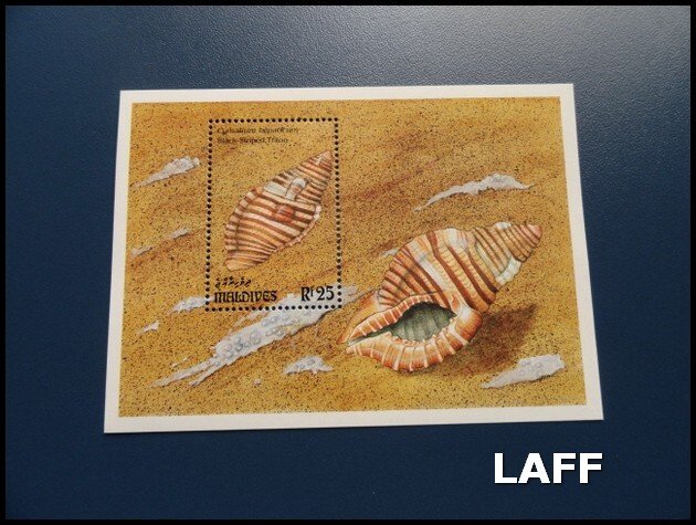 Maldives - Shells - Mini Sheet - MNH