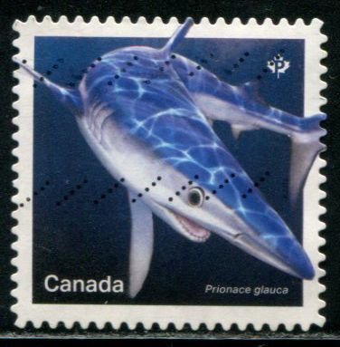 3109 Canada P Blue Shark SA, used