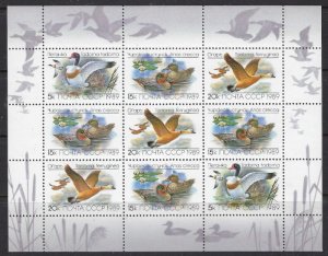 Russia 5785a MNH 1989 Ducks (SS)(ad4598)