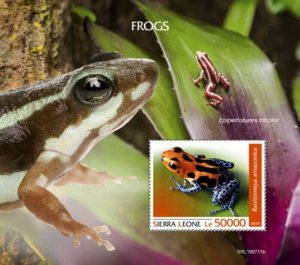 Sierra Leone - 2019 Frogs on Stamps - Stamp Souvenir Sheet - SRL190711b