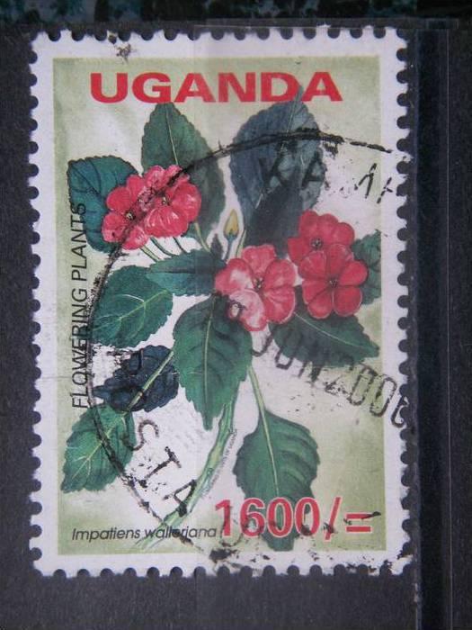 UGANDA, 2006, used 1600sh, Flowers, Scott new