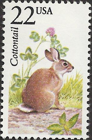 # 2290 MINT NEVER HINGED COTTONTAIL