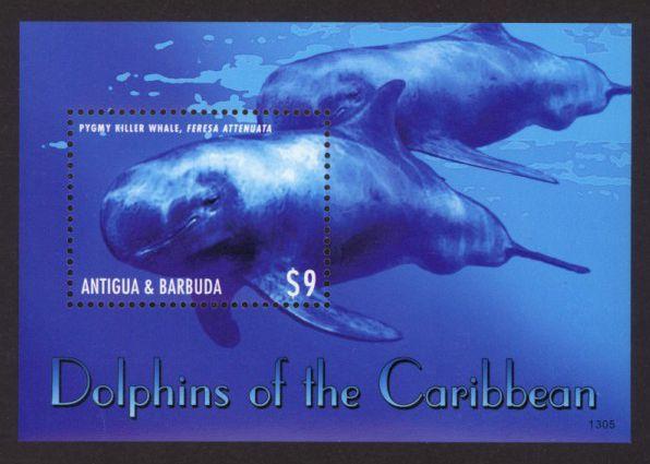 Antigua Sc# 3219 MNH Dolphins of the Caribbean (S/S)