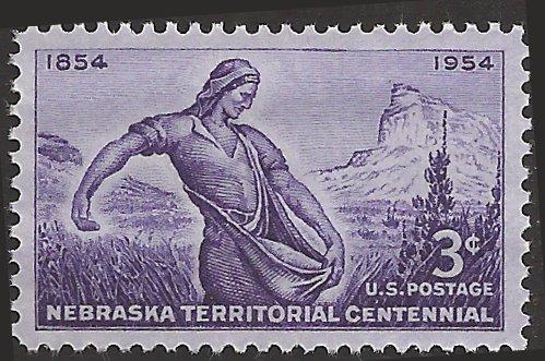 # 1060 MINT NEVER HINGED NEBRASKA TERRITORY
