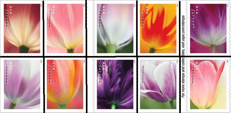 #5777-5786 2023 Tulip Blossoms Booklet Singles/10 - MNH