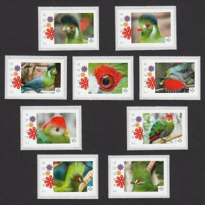 TURACO = EXOTIC BIRD = set of 9 Picture Postage sts MNH Canada 2016 [p16/03-2]