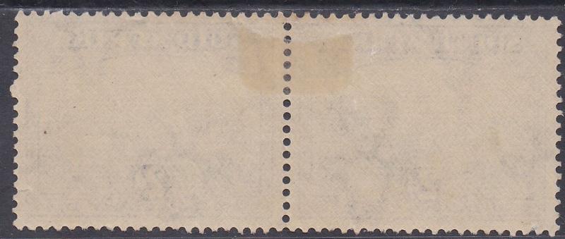 SOUTH AFRICA 1933 UNION BUILDINGS 2D GREY AND PURPLE PAIR HYPHENATED PRINTING