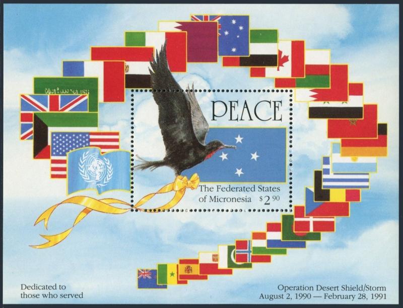 Micronesia 142a,MNH.Michel Bl.9. Operation Desert Storm,1991.Frigate-bird,Flag.