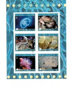 Turks and Caicos - 2000 - Underwater Photo - Sheet of 6 Stamps Scott #1281 - MNH