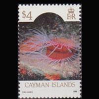 CAYMAN IS. 1986 - Scott# 573 Seashell $4 NH