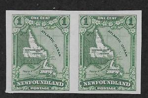 NEWFOUNDLAND SC# 160c  VF/MNG 1929