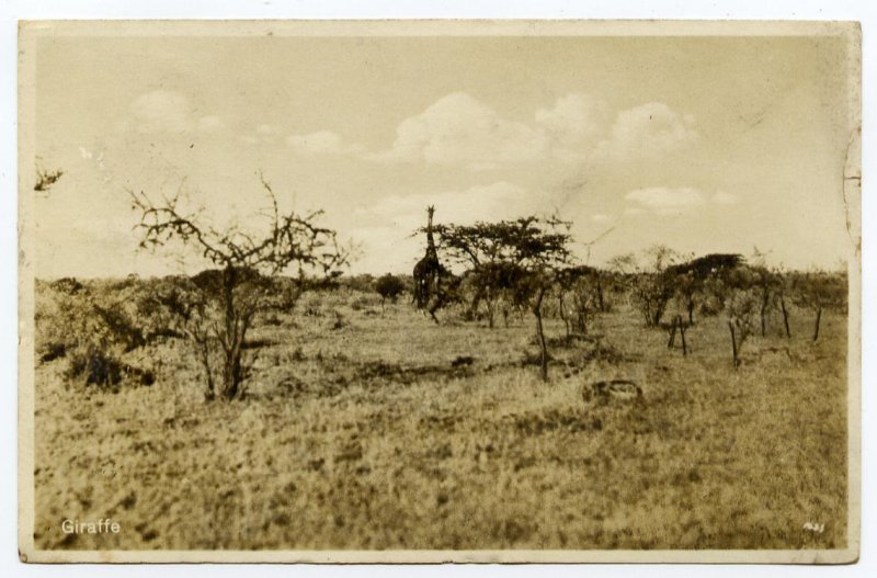 Kenya Uganda Tanganyika 15c on post card used to Nagoya Japan, 1938