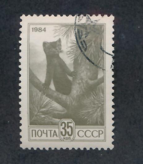 Russia 1984  Scott 5286 CTO - Environmental protection