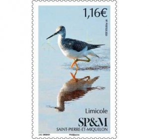 2020 St Pierre & Miquelon Limicole (Scott NA) MNH