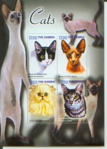 Cats of the World,  S/S 4 (GAMB2817)*