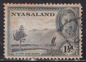 Nyasaland Protectorate 70 Tea Plantation 1945