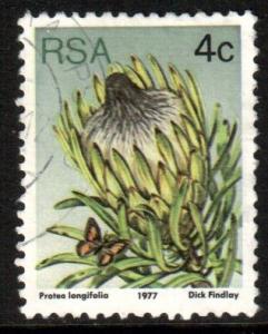 South Africa Scott 478, 1977 Longifolia 4c Perf 12.1/2, used