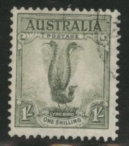  AUSTRALIA Scott 175a p13.5x14 used 1937 Lyrebird  CV$3