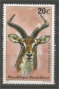RWANDA, 1975, MNH 20c, Antelopes. Scott 614