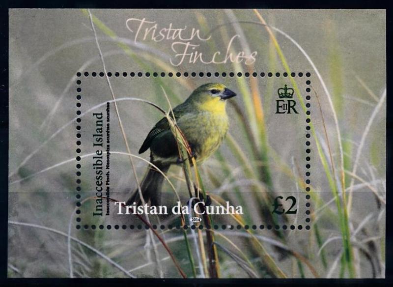 [66808] Tristan Da Cunha 2014 Birds Souvenir Sheet MNH