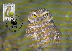 Aruba 1994 Maxicard Sc #104 5c Burrowing Owls Adult WWF