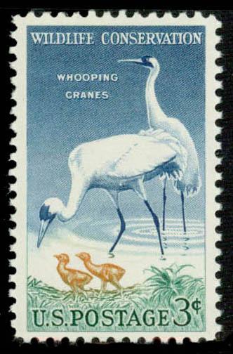 Scott 1098 - 3c Wildlife Conservation MNH single