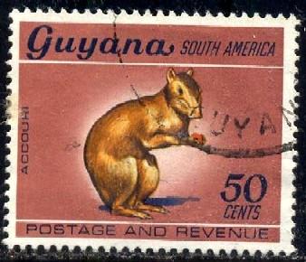 Agouti, Rodent, Guyana stamp SC#49 used