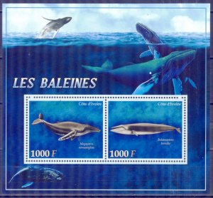 Ivory Coast 2013 Marine Life Whales Sheet MNH