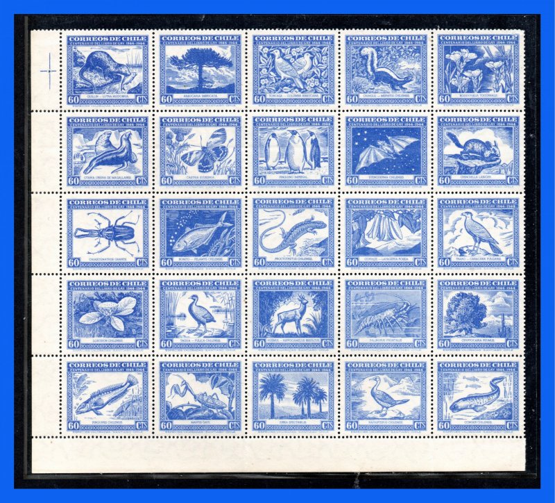 1948 - Chile - Scott n 254 /255 / C 124 - MNH - CHi- 23