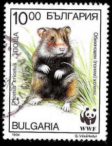 Used Box World Wide Scan 849