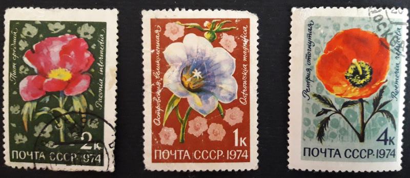 Flowers, Russia and the Soviet Union, 1974, №65-Т.