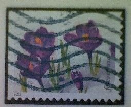 United States, Scott #5729, used(o), 2022, Crocusses,  (60¢), multicolored