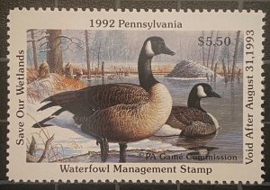 US Stamps - SC# RW PA 10 - Duck Stamp - Unused NG - CV $9.00
