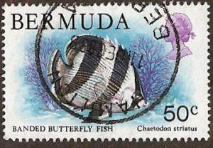 Bermuda #375 PM